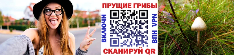Галлюциногенные грибы MAGIC MUSHROOMS Энгельс