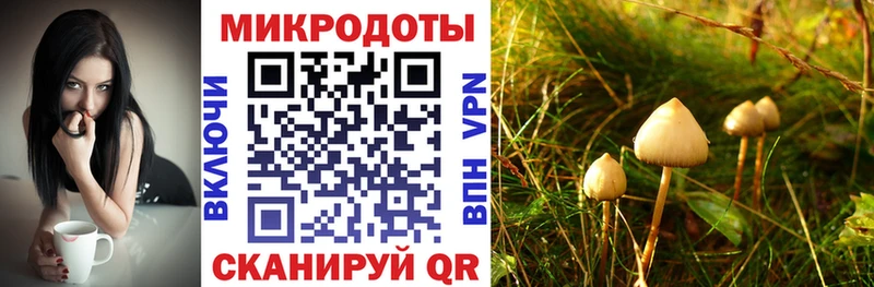 наркотики  Энгельс  Псилоцибиновые грибы Cubensis 