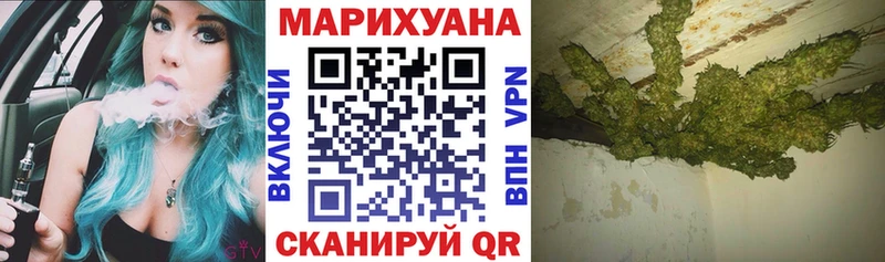 Бошки марихуана план  Энгельс 